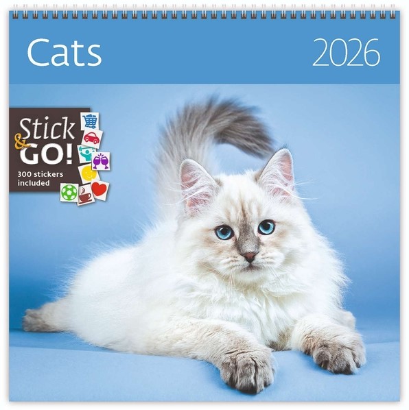 Wandkalender 2026: Katten van de Griekse Eilanden - DIN A4 Liggend | bol Wandkalender 2026: Katten van de Griekse Eilanden - DIN A4 Liggend | bol