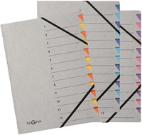Sorteermap Pagna Easy A4 12 tabs paars/lila-2