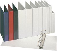 Presentatieringband Esselte panorama A4 4-rings D-mechaniek 30mm PP blauw-2