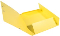 EXACOMPTA ELASTOMAP A4 CITROENGEEL-2