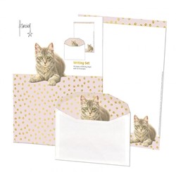 Briefpapier met enveloppen Franciens Kittens, Francien van Westering