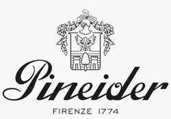 Luxe schrijfwaren Pineider