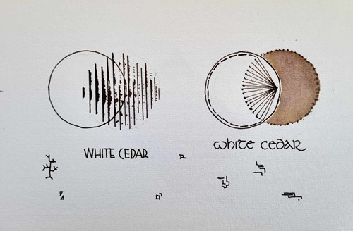 Shanghai Stationary inkt White Cedar 50ml-2