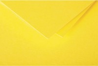 Pollen dubbele kaarten 110x155 Intensive yellow 25 stuks-2