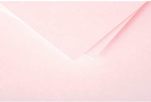 Pollen dubbele kaarten 110x155 rose 25 stuks-2